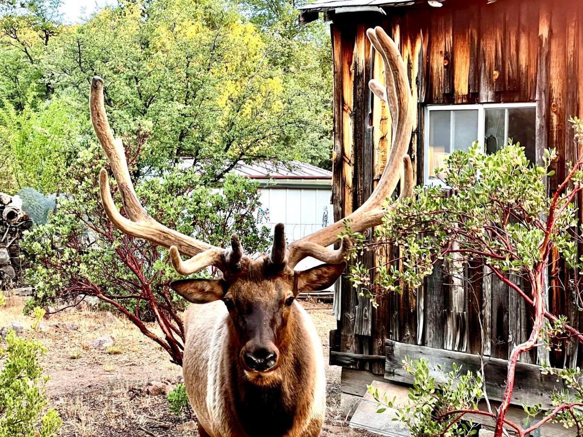 Hidden Gem Retreat In The Heart Of Payson Exterior foto